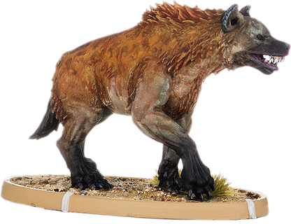 Uccumu, Hyaena
