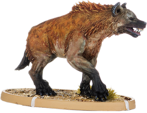 Uccumu, Hyaena