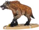 Buccumu, Hyaena