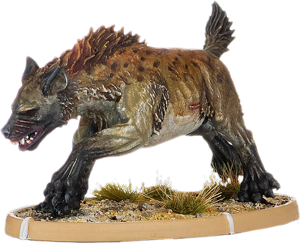 Icsuda, Hyaena