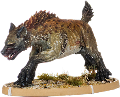 Icsuda, Hyaena
