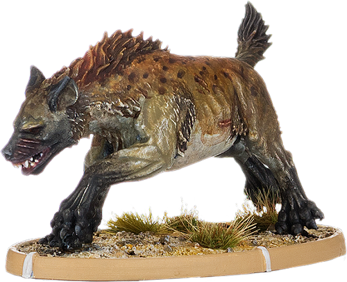 Icsuda, Hyaena