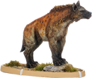 Gudu, Hyaena