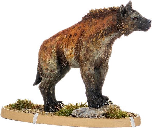 Gudu, Hyaena