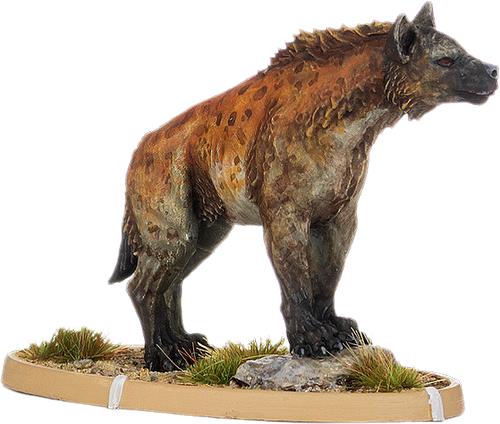 Gudu, Hyaena