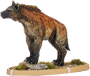 Agudu, Hyaena