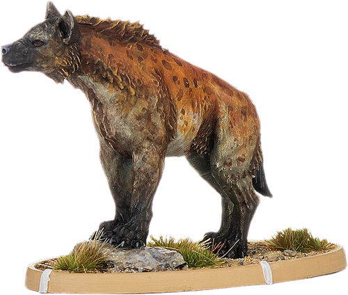 Agudu, Hyaena