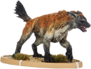Agawa, Hyaena