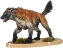 Gawa, Hyaena