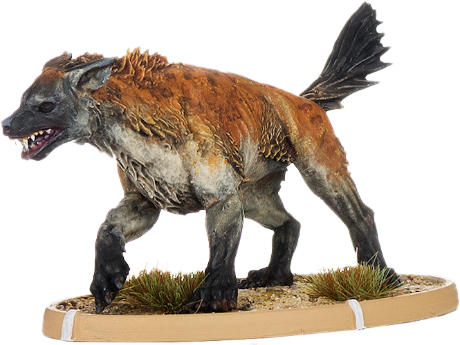 Gawa, Hyaena
