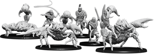 Aux Bes IV Acteon, Skorpion Minor Vulgus