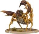 Ankho, Skorpion Minor