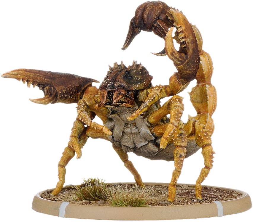 Ankho, Skorpion Minor