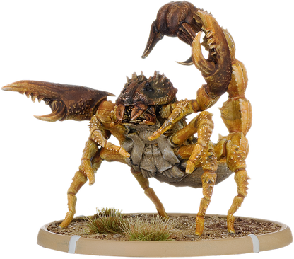 Ankho, Skorpion Minor