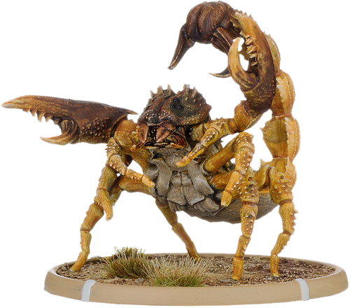 Ankho, Skorpion Minor