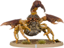 Pravo, Skorpion Minor