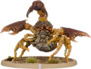 Ravo, Skorpion Minor