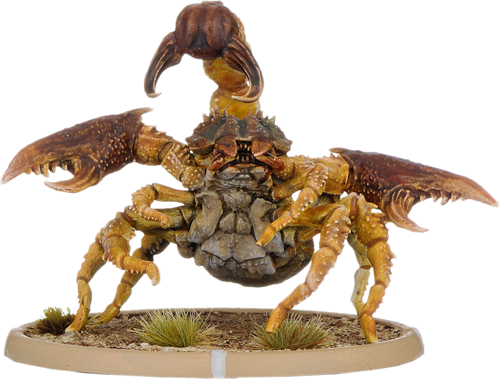 Ravo, Skorpion Minor