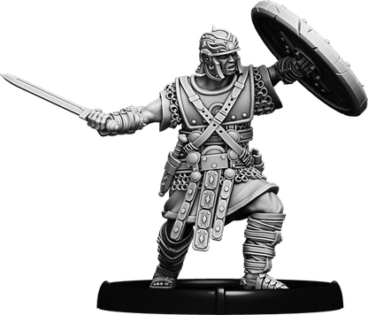 Manius, Auxiliarius