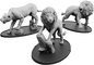 Vul VI Adrar, Leonis Vulgus