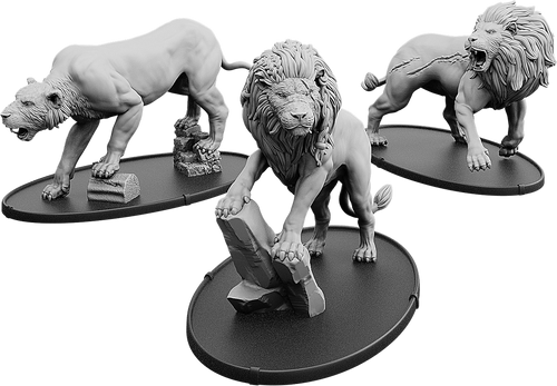 Vul VI Adrar, Leonis Vulgus