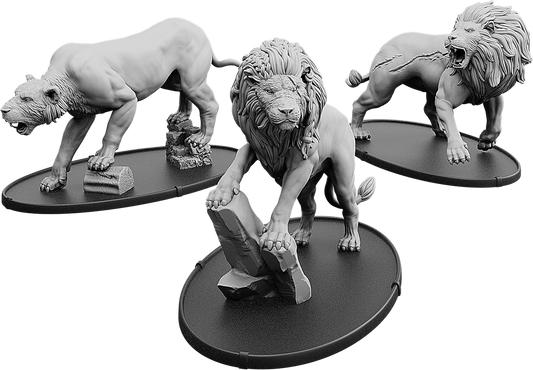 Vul VI Adrar, Leonis Vulgus