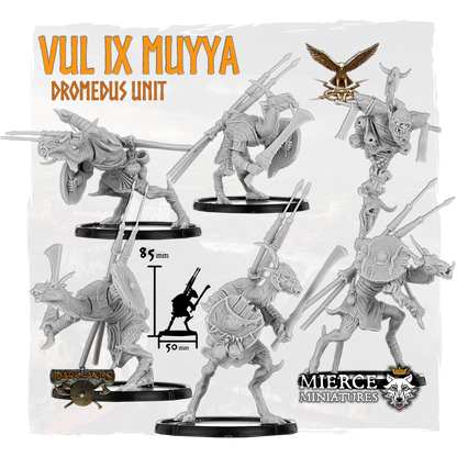 Vul IX Muyya, Dromedus Vulgus (5x warriors w cmd)