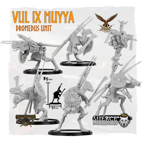 Vul IX Muyya, Dromedus Vulgus (5x warriors w cmd)