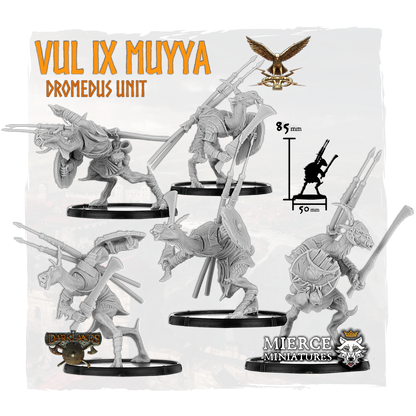 Vul IX Muyya, Dromedus Vulgus (5x warriors)