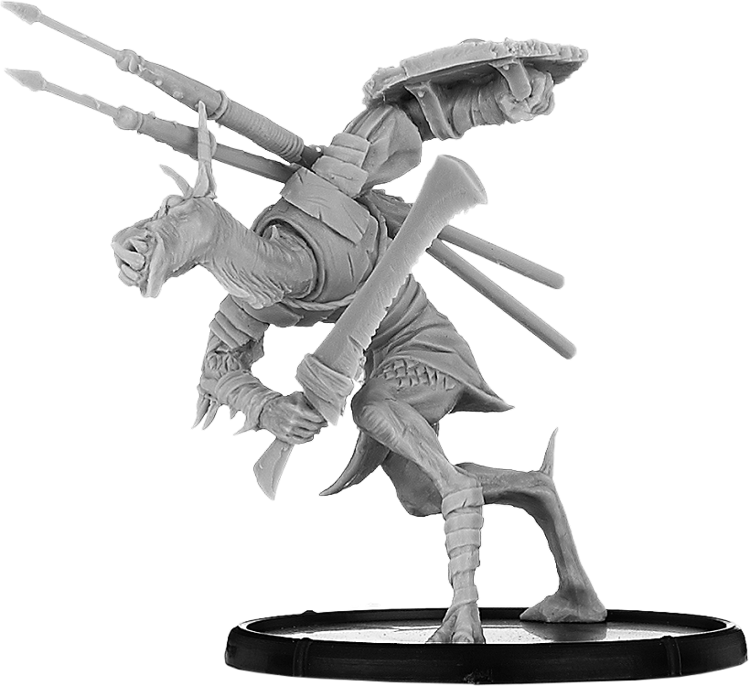 Bakr, Dromedus Warrior