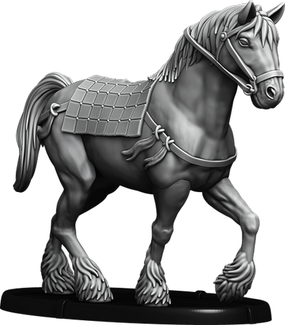 Sinséir, Rudraige's Horse