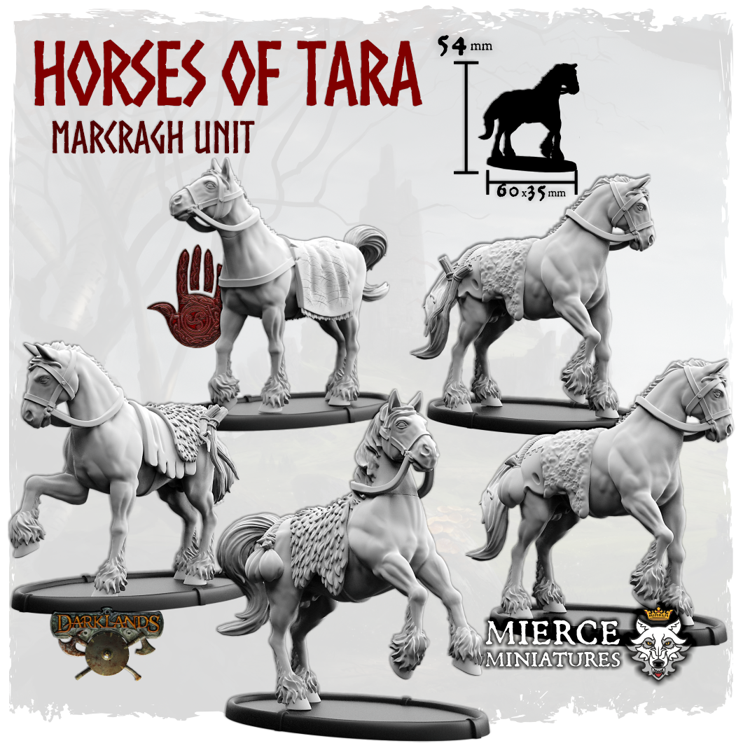 Horses of Tara, Marcragh Unit (7x warriors)