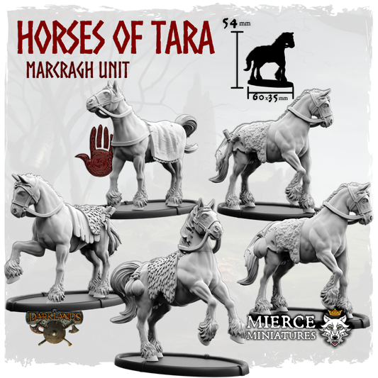 Horses of Tara, Marcragh Unit (7x warriors)