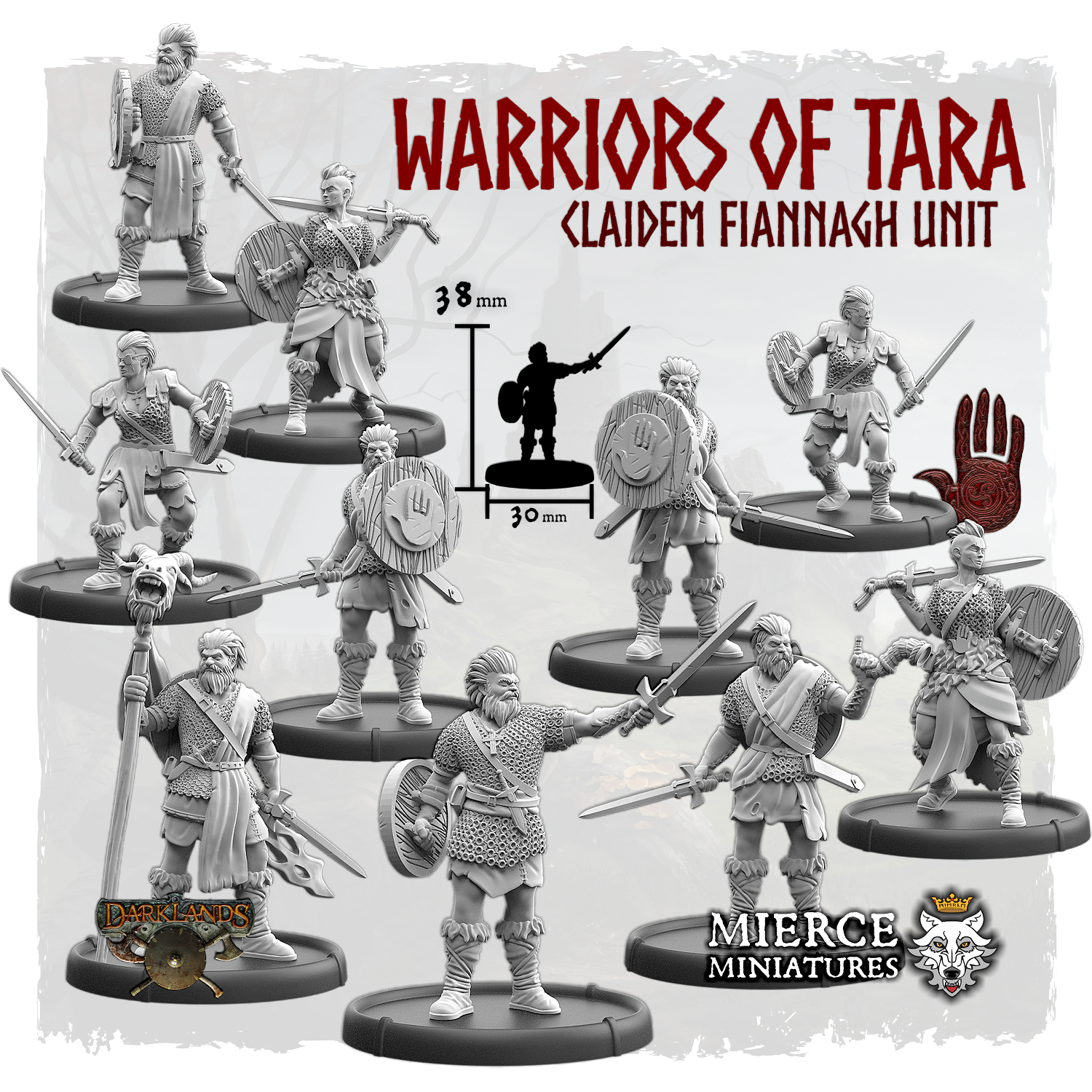 Warriors of Tara, Claidem Fiannagh Unit (10x warriors w cmd)