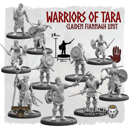Warriors of Tara, Claidem Fiannagh Unit (10x warriors w cmd)