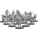 Warriors of Tara, Claidem Fiannagh Unit (20x warriors w cmd)