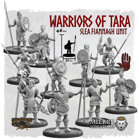 Warriors of Tara, Slea Fiannagh Unit (10x warriors w cmd)