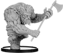 Ruairí, Fir Danu Warrior