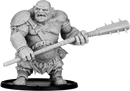 Finnbarr, Fir Bholgmór