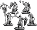 The Eye Ascendant, Shieldwall Warrior of Baalor Unit (5x warriors w cmd)