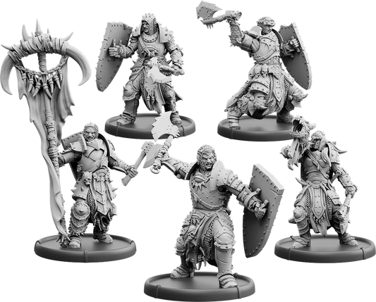 The Eye Ascendant, Shieldwall Warrior of Baalor Unit (5x warriors w cmd)