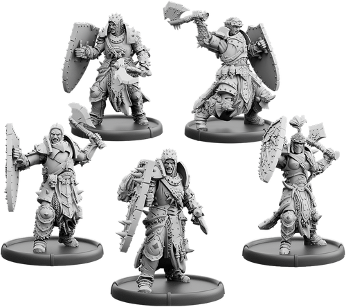 The Eye Ascendant, Shieldwall Warrior of Baalor Unit (5x warriors)