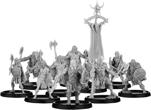 Raabert's Warband, Shieldwall Reiver Unit (20x warriors w cmd)