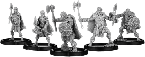 Raabert's Warband, Shieldwall Reiver Unit (5x warriors)