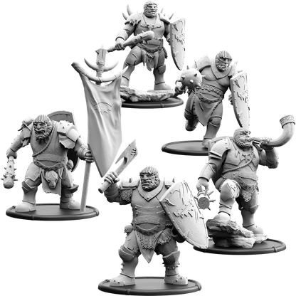 Graadon's Mob, Shieldwall Ograx of Baalor Unit (5x warriors w cmd)