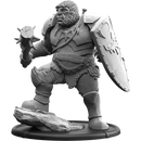 Aang, Shieldwall Ograx of Baalor Warrior
