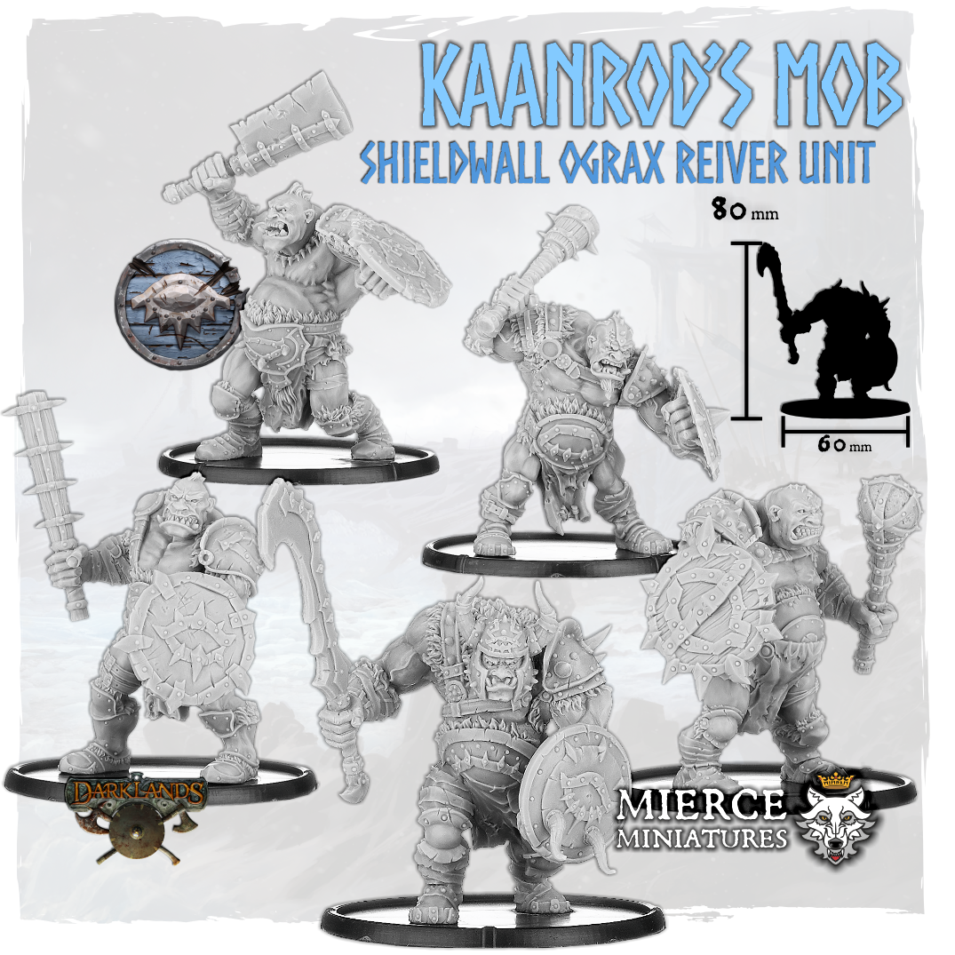 Kaanrod's Mob, Shieldwall Ograx Reiver Unit