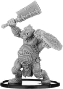 Raalic, Shieldwall Ograx Reiver Warrior