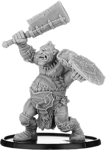 Raalic, Shieldwall Ograx Reiver Warrior