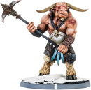 Piraack, Tarvax Warrior